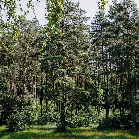 Вілла Mysliwska Chata Na Skraju Lasu Wojtkowa Екстер'єр фото